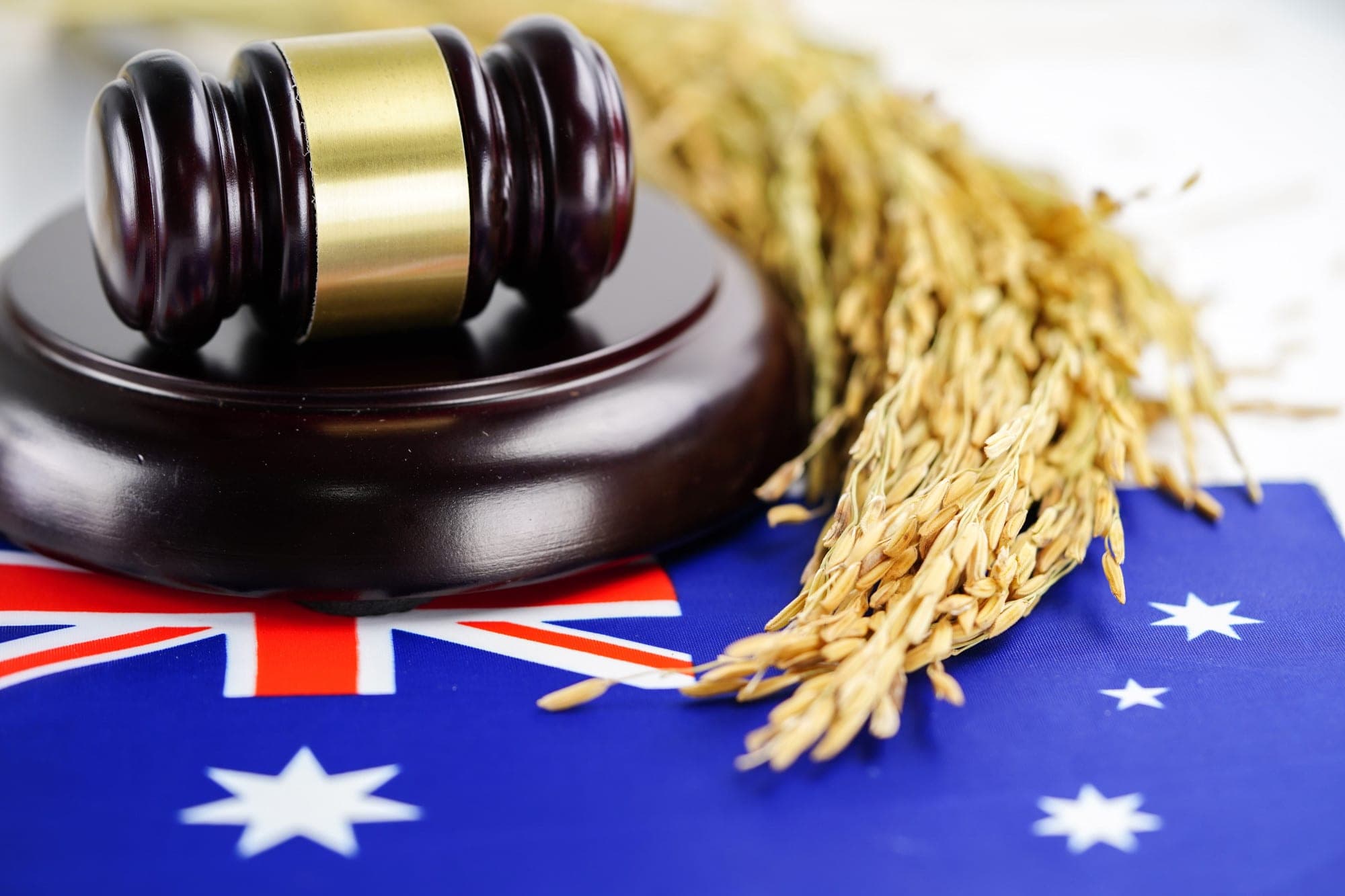 Gavel on Australian flag with wheat, relating to TPAR deadlines.