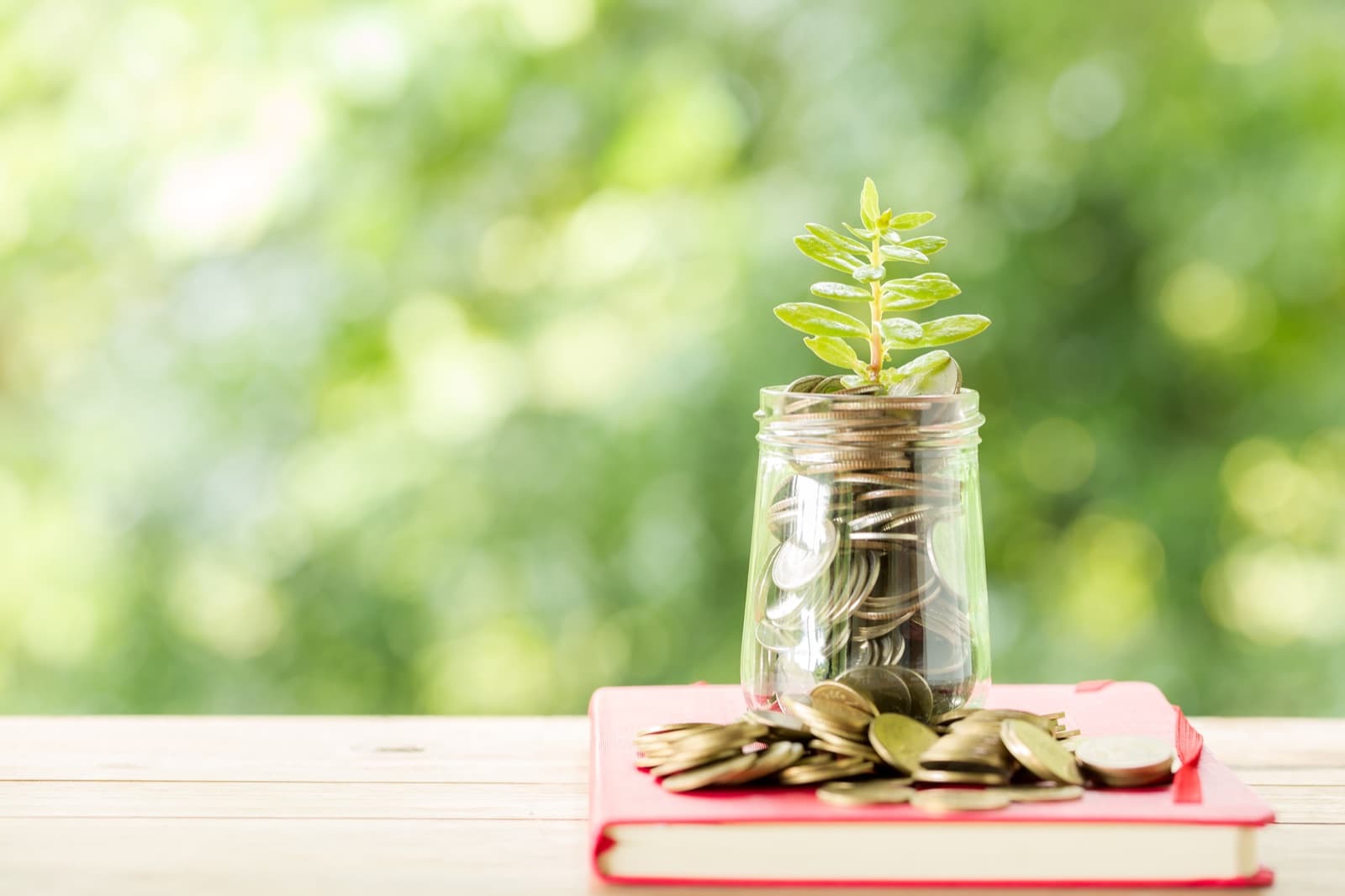 Coins in a glass jar with a small plant growing, a savings concept